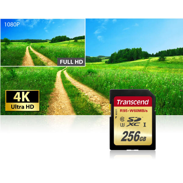 Karta TRANSCEND SDXC do nagrywania 4K o pojemnoci 256GB 