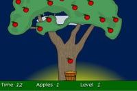 Apples