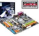 Obrazek MSI P965 Platinum ATI CrossFire