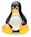 Obrazek W Brazylii stawiają na Linuxa
