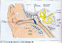Obrazek MP3 szkodliwe