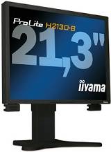Obrazek Iiyama ProLite H2130 w Polsce