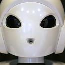 Obrazek 'Run Robot Run!'