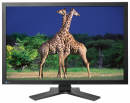 Obrazek EIZO ColorEdge CG303W