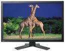 Obrazek EIZO ColorEdge CG303W