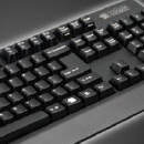 Obrazek Zowie Gear Celeritas