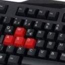 Obrazek Raptor Gaming LK1