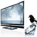 Obrazek Toshiba 55ZL1 - pierwszy telewizor z CEVO-ENGINE