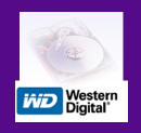 Obrazek Western Digital uruchamia jedną z zalanych fabryk HDD
