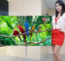 Obrazek LG - 55-calowy TV OLED podczas CES 2012