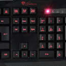 Obrazek Natec Genesis RX33 - klawiatura dla grajcych...
