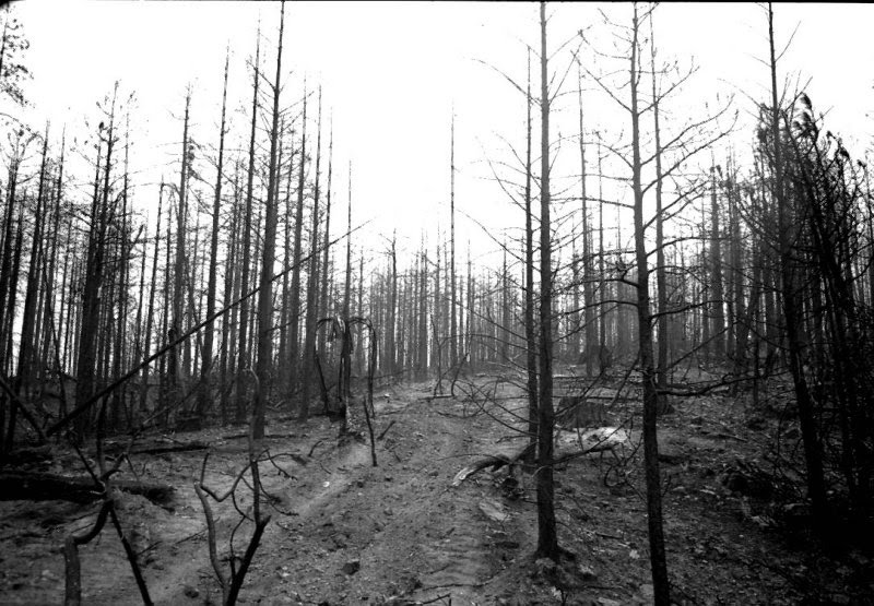 Slender - gra dla osb o mocnych nerwach