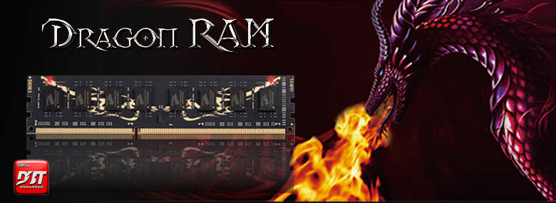 GeiL Black Dragon 8GB