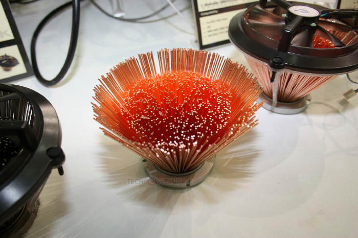 Warm Tek Blonde Hedgehog C120 