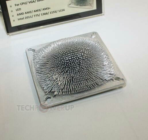 Warm Tek Blonde Hedgehog C120 