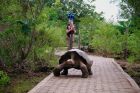 Obrazek Google Street View odwiedzi Wyspy wie