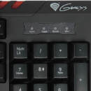 Obrazek Natec Genesis RX55 dla zapalonych graczy