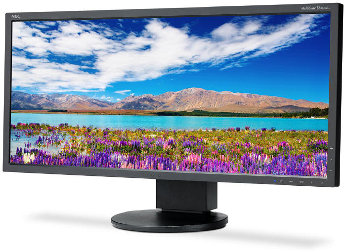 NEC MultiSync EA294WMi 