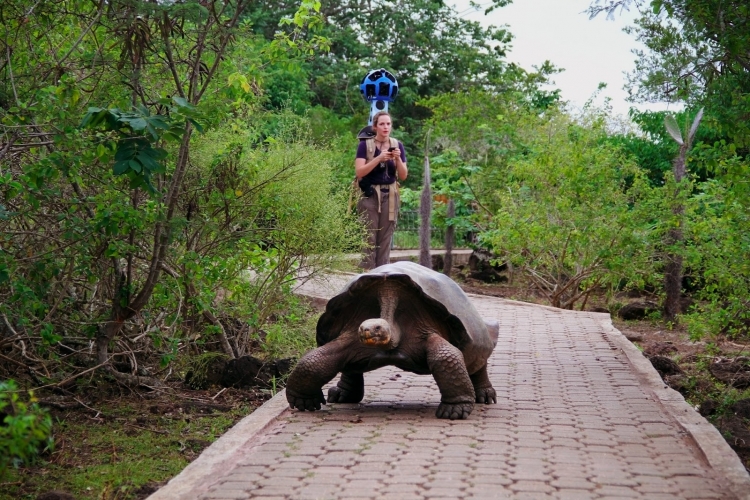 Google Street View odwiedzi Wyspy wie