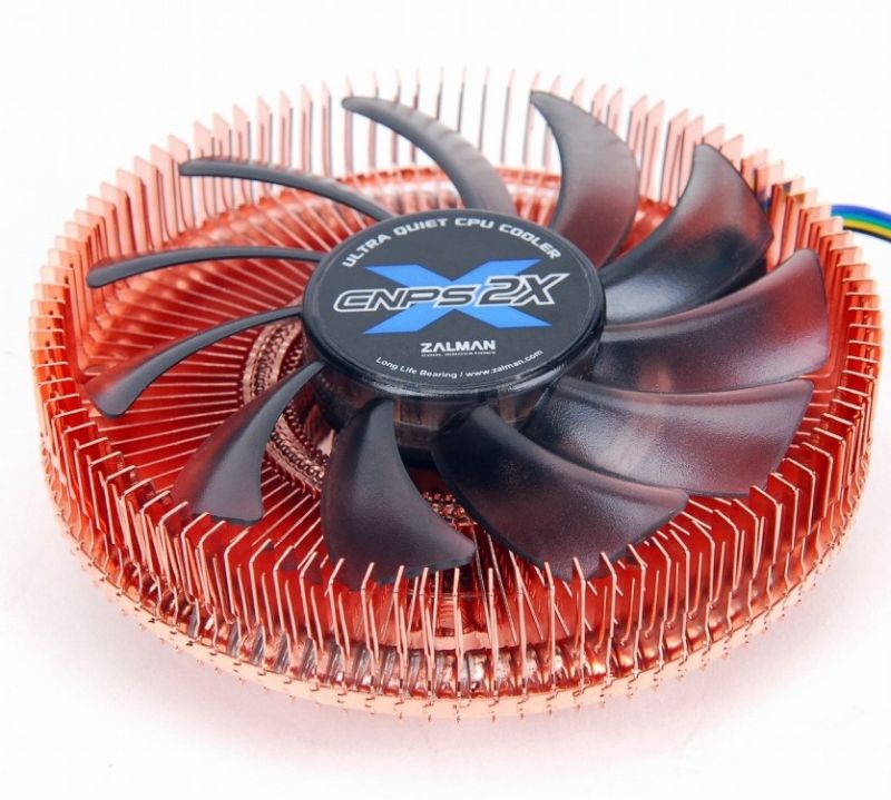 Zalman odwiey rodzin CNPS