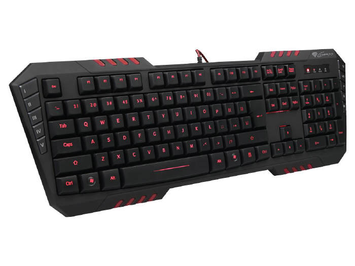 Natec Genesis  RX55 dla zapalonych graczy