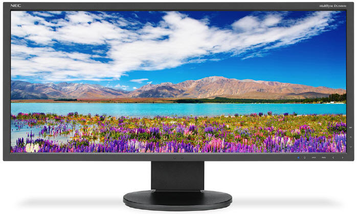 NEC MultiSync EA294WMi 