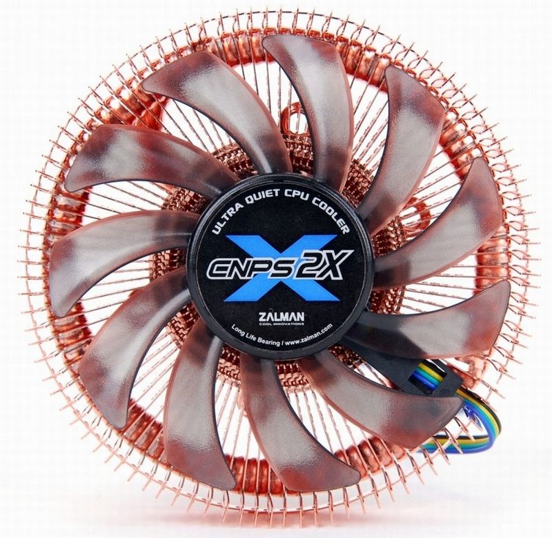Zalman odwiey rodzin CNPS
