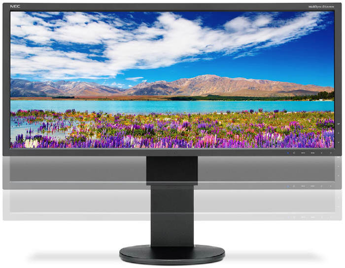 NEC MultiSync EA294WMi 