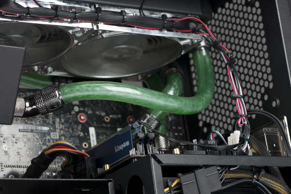NVIDIA te gra dla Wielkiej Orkiestry witecznej Pomocy