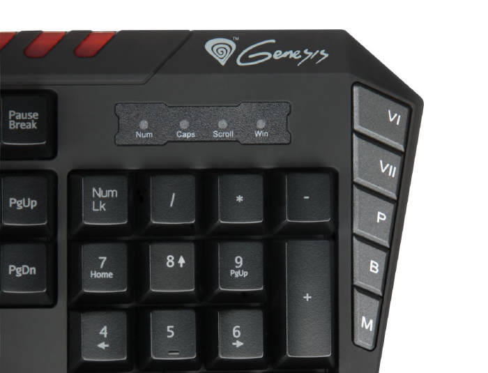 Natec Genesis  RX55 dla zapalonych graczy