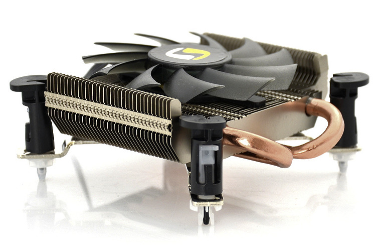 Infantis LP812 już dostępny w sprzedaży