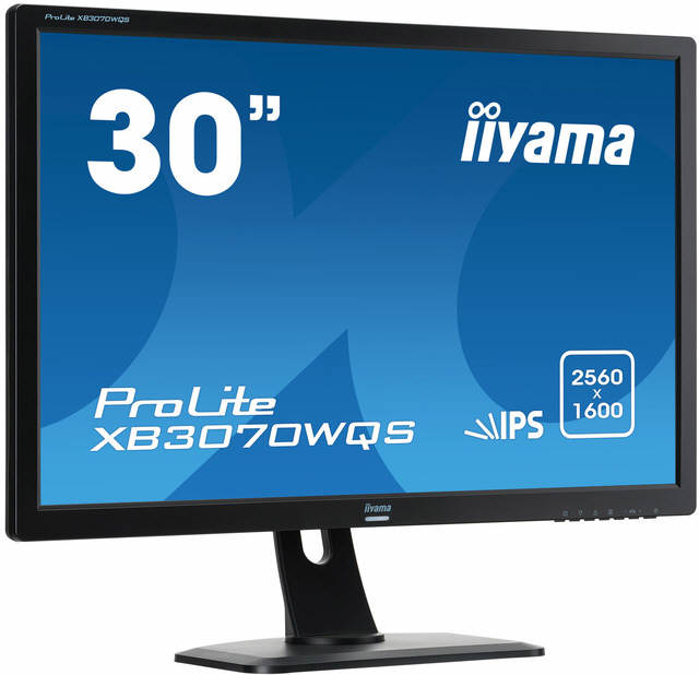 iiyama XB3070WQS-B1 - 30-cali matrycy AH-IPS