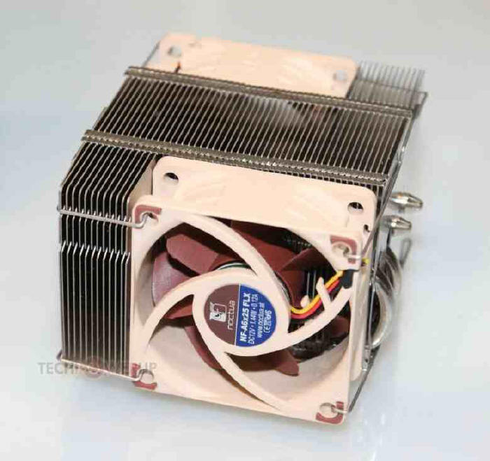 Noctua U-type Compact CPU Cooler