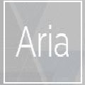 Obrazek Projekt Aria - kontroluj smartwatcha gestami
