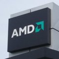Obrazek AMD zwalnia 5% pracowników
