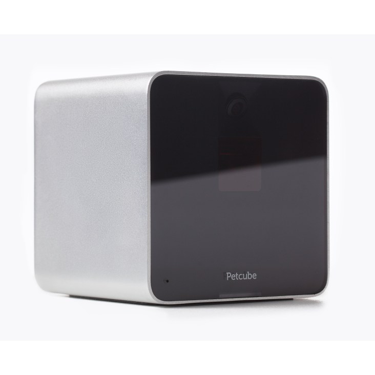 Petcube Camera gadżet dla zwierząt domowych
