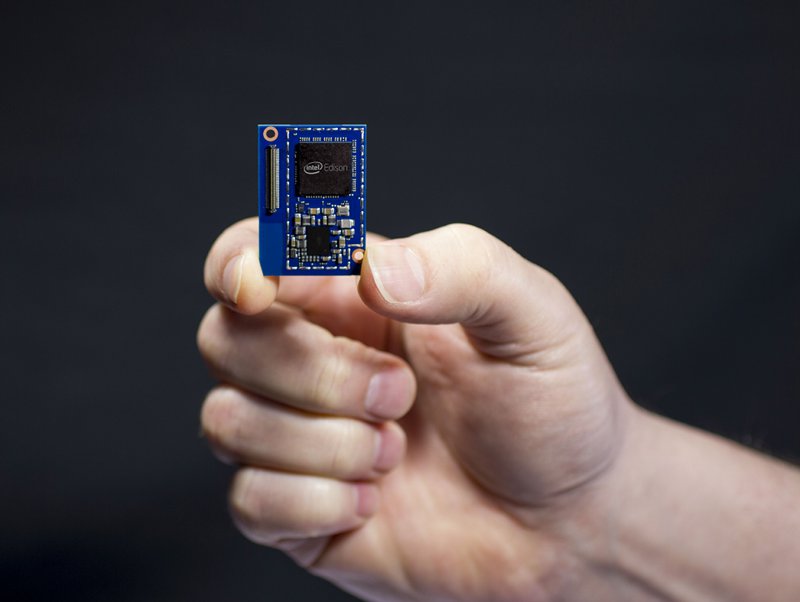 Intel rusza na ratunek pszczołom