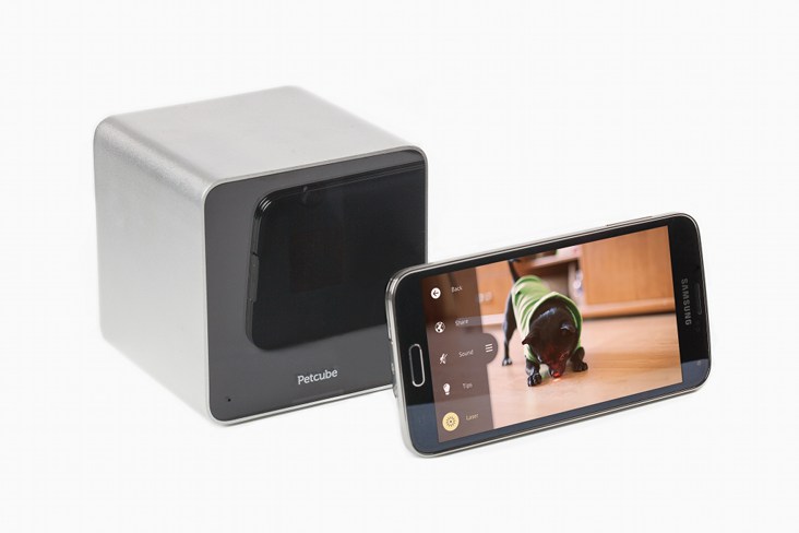 Petcube Camera gadżet dla zwierząt domowych