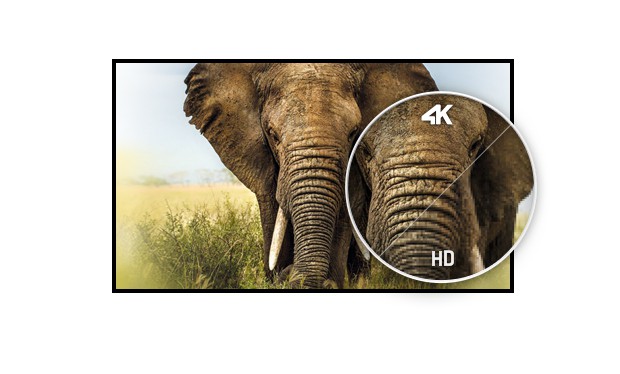 iiyama przedstawia 40-calowy monitor 4K z matrycą MVA