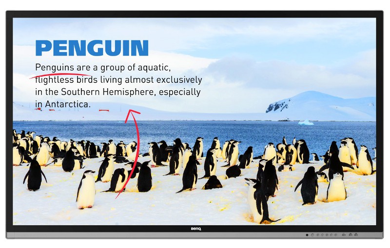 55” BenQ RP552H