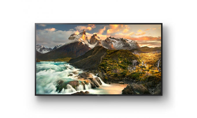 SONY FWD-100ZD9501 - 100-calowy monitor 4K