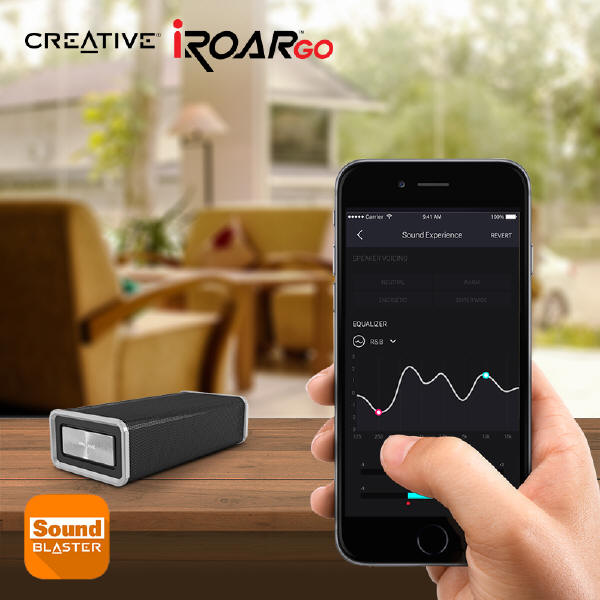 Creative IROAR GO z futerałem