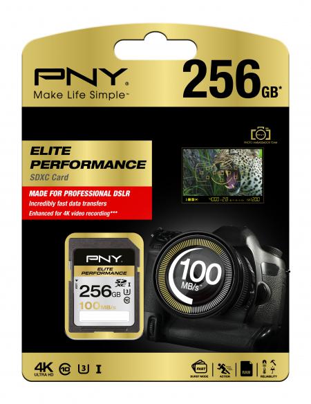 PNY Elite - nowa karta SD 100MB/s z USA