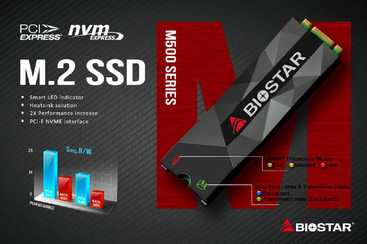 BIOSTAR M500 M.2 2280 PCI-Express NVMe SSD