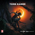 Obrazek Shadow of the Tomb Raider do kart GeForce GTX z serii 10