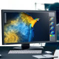 Obrazek NEC MultiSync PA311D – 31-calowy monitor 4K
