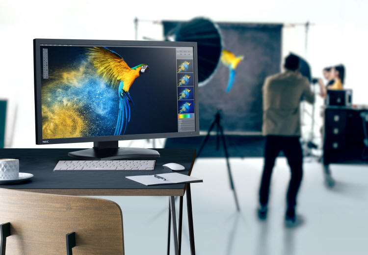 NEC MultiSync PA311D – 31-calowy monitor 4K