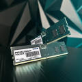 Obrazek Patriot Signature DDR5 4800 MHz i 5200 MHz