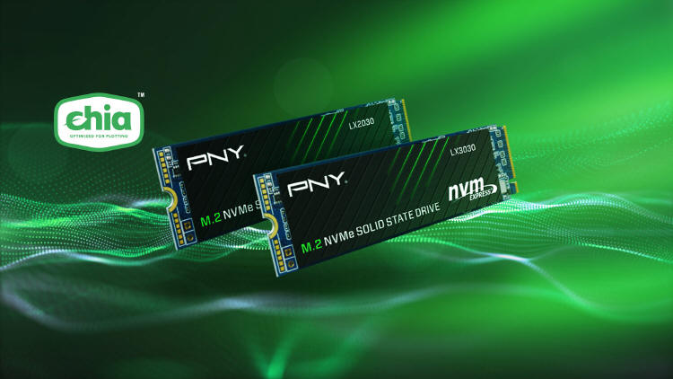 PNY LX2030 i LX3030 M.2 NVMe Gen3 x4 