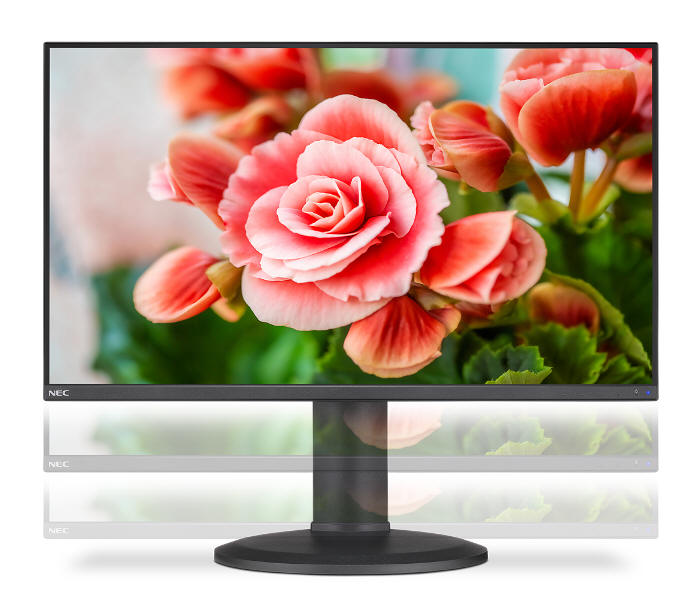 NEC MultiSync E273F - monitor z interfejsem USB-C